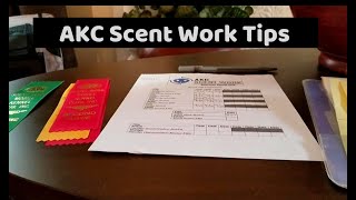 Tips for First AKC Scent Work Trial [upl. by Nelda915]