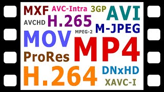 Explaining Digital Video Formats Codecs amp Containers [upl. by Annahsar]