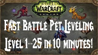 WoW Easy Battle Pet Leveling  Level 1 to 25 in 10 Minutes [upl. by Laurena122]