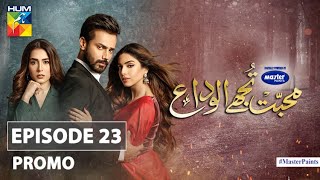 Mohabbat Tujhe Alvida  Episode 23  Promo  Digitally Powered By Master Paints  HUM TV  Drama [upl. by Atiuqehc132]