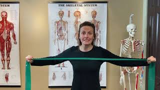 7Point Posture Program Exercises 4 amp 5 Strengthening the Rhomboids [upl. by Sanchez]