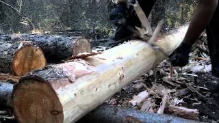 How to use a Drawknife  Drawshave  Peeling logs [upl. by Anirol]