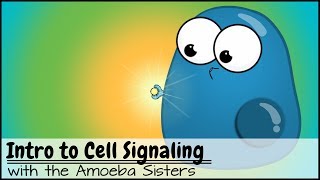 Intro to Cell Signaling [upl. by Varney]