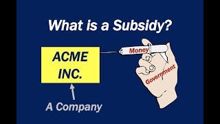 What is a Subsidy [upl. by Adev]