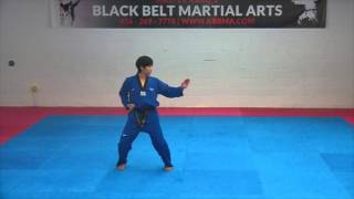 1st Dan Black Belt Poomsae Koryo Taekwondo [upl. by Nidroj329]