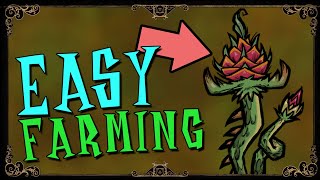 EASIEST WAY TO USE FARM PLOTS  Reap What you Sow Dont Starve Together Guide [upl. by Etteuqram]