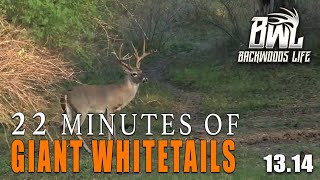 ULTIMATE Deer Hunting Compilation [upl. by Eyot595]