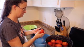 Preserve the Harvest Canning Diced Tomatoes [upl. by Palma]