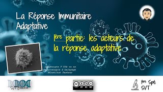 SVTErlich 1ère Spé  Limmunité adaptative Partie 1 [upl. by Lannie]