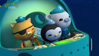 Octonauts The Humphead Parrotfish [upl. by Dlonyar]