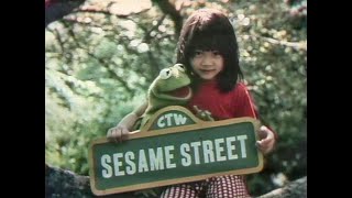 Sesame Street  Episode 1271 1979 [upl. by Fasa]