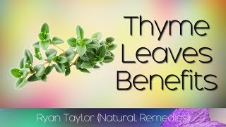 Thyme Leaves Benefits and Uses [upl. by Ardnusal]