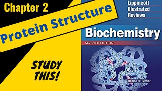 Lippincotts Biochemistry Review Chapter 2 Protein Structure  Study This [upl. by Sisile384]