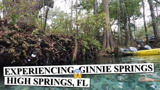 Ginnie Springs  High Springs [upl. by Orville]