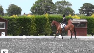 Novice 30 Dressage test [upl. by Steven]