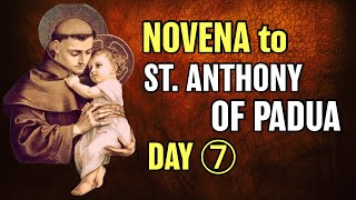 St Anthony of Padua Novena Day 7 [upl. by Wolfe]