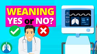 Ventilator Settings for Weaning TMC Practice Question  Respiratory Therapy Zone [upl. by Mazur699]