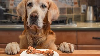 Quick Trick For Training Dog To Stop Stealing Food [upl. by Girovard]