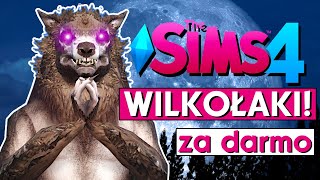 The Sims 4 WILKOŁAKI ZA DARMO PRZEGLĄD 👹 [upl. by Meakem568]