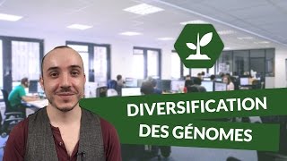 Diversification des génomes  SVT  digiSchool [upl. by Enyad]