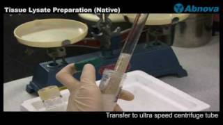 Tissue Lysate Preparation Native [upl. by Asirrac]