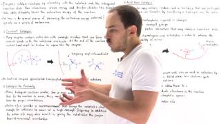 Mechanisms of Enzyme Catalysis [upl. by Blight]