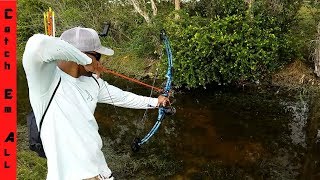 BOWFISHING SLOW MOTION Compound Bow vs Recurve Bow [upl. by Carmon]