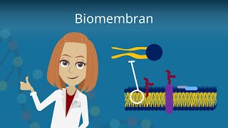 Biomembran  Aufbau und Funktion [upl. by Eden]