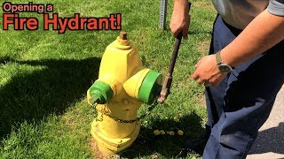 How to Open a Fire Hydrant [upl. by Lisle]