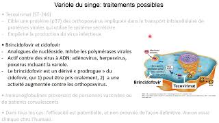 Mpox variole simienne  prévention traitements [upl. by Efal706]