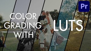 How to use LUTs to color grade Sony a7S III FX3 amp A1 LOG Footage in Premiere Pro [upl. by Nordek]