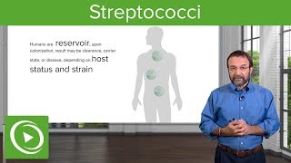 Streptococci – Microbiology  Lecturio [upl. by Bud]