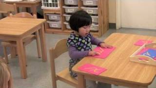 The Montessori Language Program [upl. by Auqenahs941]