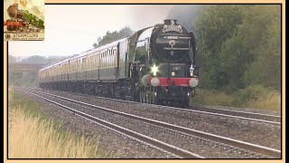 60163 Tornado at Speed an Impression of 100 mph on the Torbay Express 23rd July [upl. by Boffa]