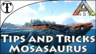 Fast Megalosaurus Taming Guide  Ark  Survival Evolved Tips and Tricks [upl. by Ginsberg]