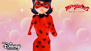 💕 Miłość Biedronki i Czarnego Kota  Miraculous Biedronka i Czarny Kot  Disney Channel Polska [upl. by Niemad]