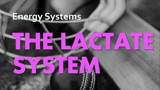 The Lactate System  Energy Systems 03  Anatomy amp Physiology [upl. by Byler840]