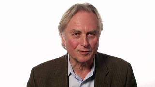 Richard Dawkins Letting Science Inform Morality [upl. by Eadahc330]