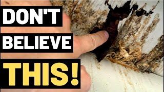 THE TRUTH ABOUT WOOD ROT You need to watch this [upl. by Aek]