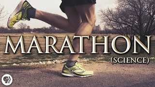 The Science of Marathon Running [upl. by Einreb]