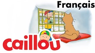 Caillou FRANÇAIS  Où est Gilbert S04E01  conte pour enfant  Caillou en Français [upl. by Outlaw730]