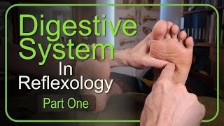 How to Work the Entire Digestive System in Reflexology Part 1 [upl. by Dlanor538]