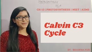 Ch13  Photosynthesis L02 Calvin C3 cycle  dark reaction  Class 11th  NEET  AIIMS [upl. by Derfla]