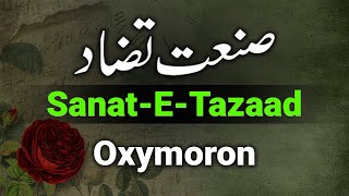 Sanat E Tazad Example In Urdu  Sanate Tazad Ki Tareef  Urdu Grammar  صنعت تضاد [upl. by Eilatam]