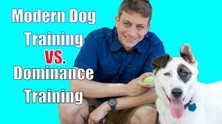 The Dominance Myth in Dog Training Explained [upl. by Pellegrini]