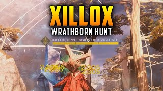 Destiny 2  quotAillox Oppression of Xivu Arathquot  Wrathborn Hunt [upl. by Dolf]