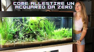 Allestimento di un acquario come fare [upl. by Nylsirhc561]