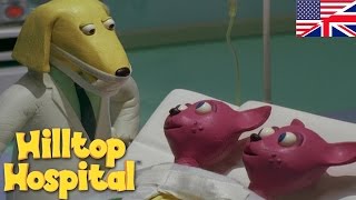 Hilltop Hospital  Siamese Twins S04E11 HD  Cartoon for kids [upl. by Rawlinson]