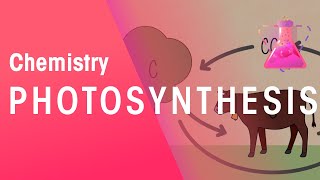 Photosynthesis amp Respiration  Reactions  Chemistry  FuseSchool [upl. by Euphemie775]