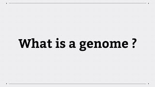 What is a genome [upl. by Nylkcaj962]